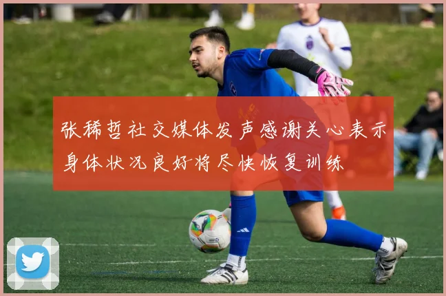 张稀哲社交媒体发声感谢关心表示身体状况良好将尽快恢复训练